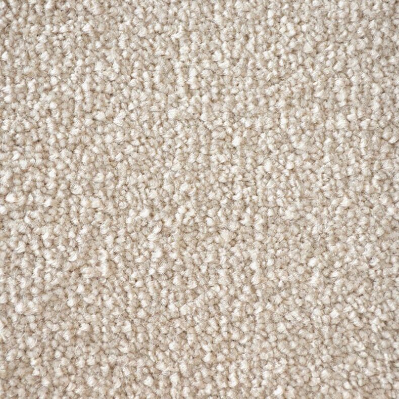 First Impressions Day Dreamer carpet by Victoria Carpets