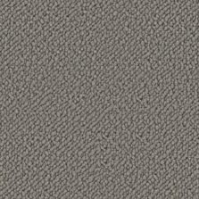 Wool Snug Delicate Feather SN504 carpet by Crucial Trading