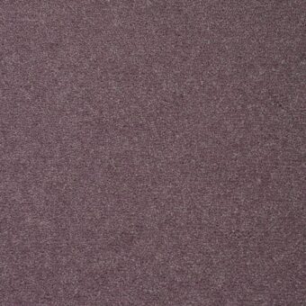 Colorado Delta carpet by Penthouse Carpets