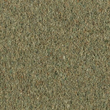 Vermont Denver carpet by Penthouse Carpets