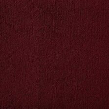 Silken Velvet Collection Devotion carpet by Westex