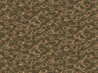 Vogue Collection Dodgem carpet by Hugh Mackay