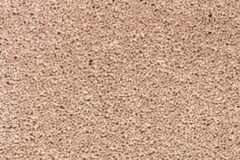 York Wilton Doeskin carpet by Ulster Carpets