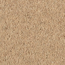 Shoreline Dune carpet by Penthouse Carpets