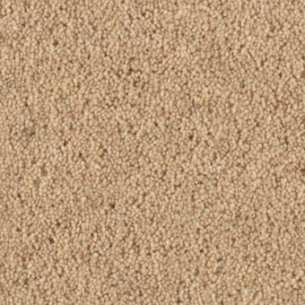 Shoreline Dune carpet by Penthouse Carpets