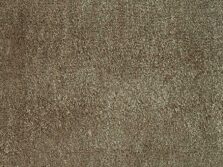 Campeone Collection Gloss Earth carpet by ITC
