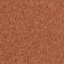 Super Maxim Earthenware carpet by Penthouse Carpets