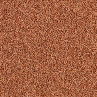 Super Maxim Earthenware carpet by Penthouse Carpets