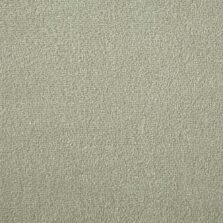 Silken Velvet Collection Ecru carpet by Westex