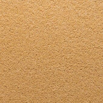 Stateside Ellis carpet by Penthouse Carpets
