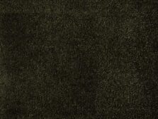 Campeone Collection Charmonix Emerald carpet by ITC