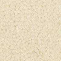 Westend Velvet Collection Ermine carpet by Westex