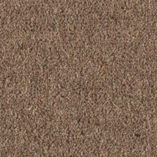 Shoreline Estuary carpet by Penthouse Carpets