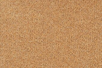 Ulster Velvet Fauna carpet by Ulster Carpets