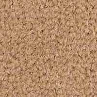 Westend Velvet Collection Fawn carpet by Westex