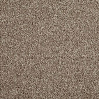 Primo Choice Filbert carpet by Cormar Carpets