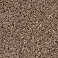Westend Velvet Collection Flint carpet by Westex