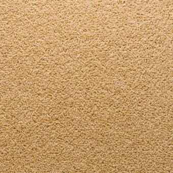 Stateside Florida carpet by Penthouse Carpets