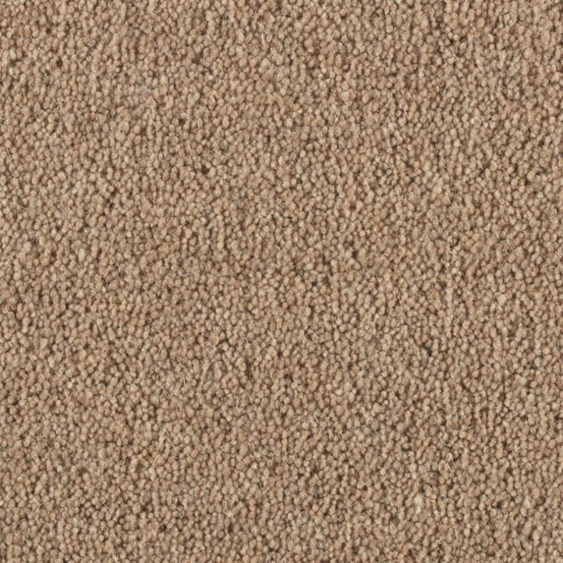 Vermont Frisco carpet by Penthouse Carpets