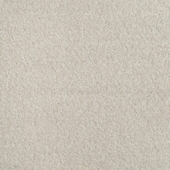 Dimensions Plain Gauze carpet by Brockway Carpets