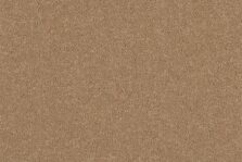 Grange Wilton Giltwood carpet by Ulster Carpets