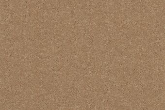 Grange Wilton Giltwood carpet by Ulster Carpets