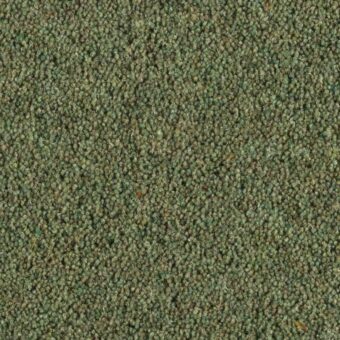 Pentwist Glade carpet by Penthouse Carpets