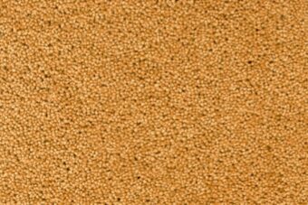 York Wilton Gorse carpet by Ulster Carpets