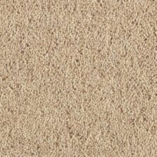 Super Maxim Gravel carpet by Penthouse Carpets