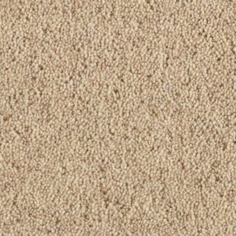 Super Maxim Gravel carpet by Penthouse Carpets