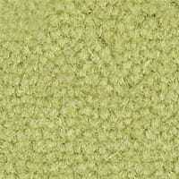 Westend Velvet Collection Greenfinch carpet by Westex