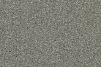 Grange Wilton Greyhound carpet by Ulster Carpets