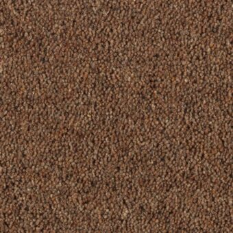 Carlton Hickory carpet by Penthouse Carpets