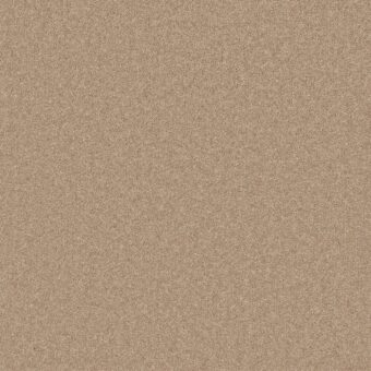 Pembroke Hickory carpet by Cormar Carpets