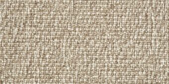 Wool Treasure Hidden Fossil WT503 carpet by Crucial Trading