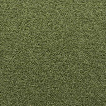 Stateside Houston carpet by Penthouse Carpets