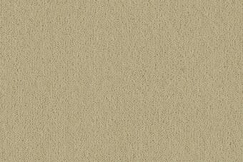 Ulster Velvet Impala carpet by Ulster Carpets