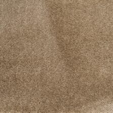 Synergy Intense Truffle carpet by Elements London