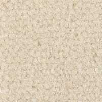 Westend Velvet Collection Ivory carpet by Westex