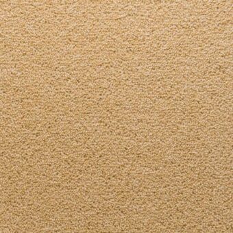 Stateside Jersey carpet by Penthouse Carpets