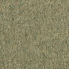 Shoreline Kelp carpet by Penthouse Carpets