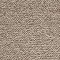 Westend Velvet Collection Latte carpet by Westex