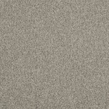 Primo Choice Lava Stone carpet by Cormar Carpets