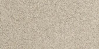Barefoot Bikram Laya carpet by Alternative Flooring