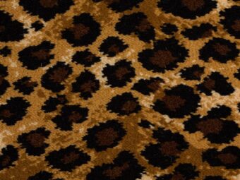 Safari Collection Leopard carpet by Hugh Mackay