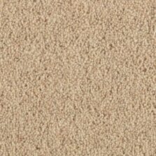 Super Maxim Linen carpet by Penthouse Carpets