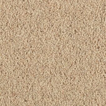 Super Maxim Linen carpet by Penthouse Carpets