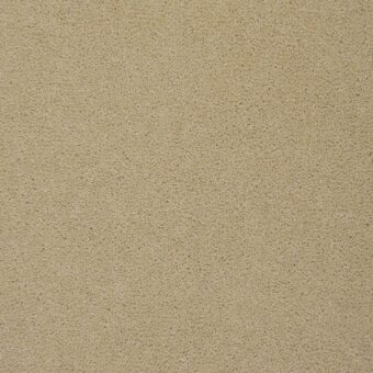 Colorado Longmount carpet by Penthouse Carpets