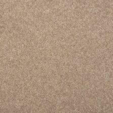 Esprit Nouveau Lynx carpet by Penthouse Carpets