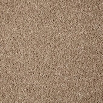 Primo Grande Lynx carpet by Cormar Carpets